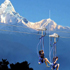 Zip Flyer